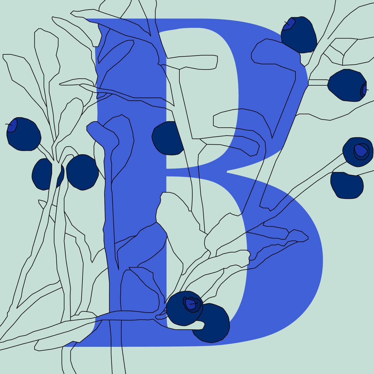 B_2
