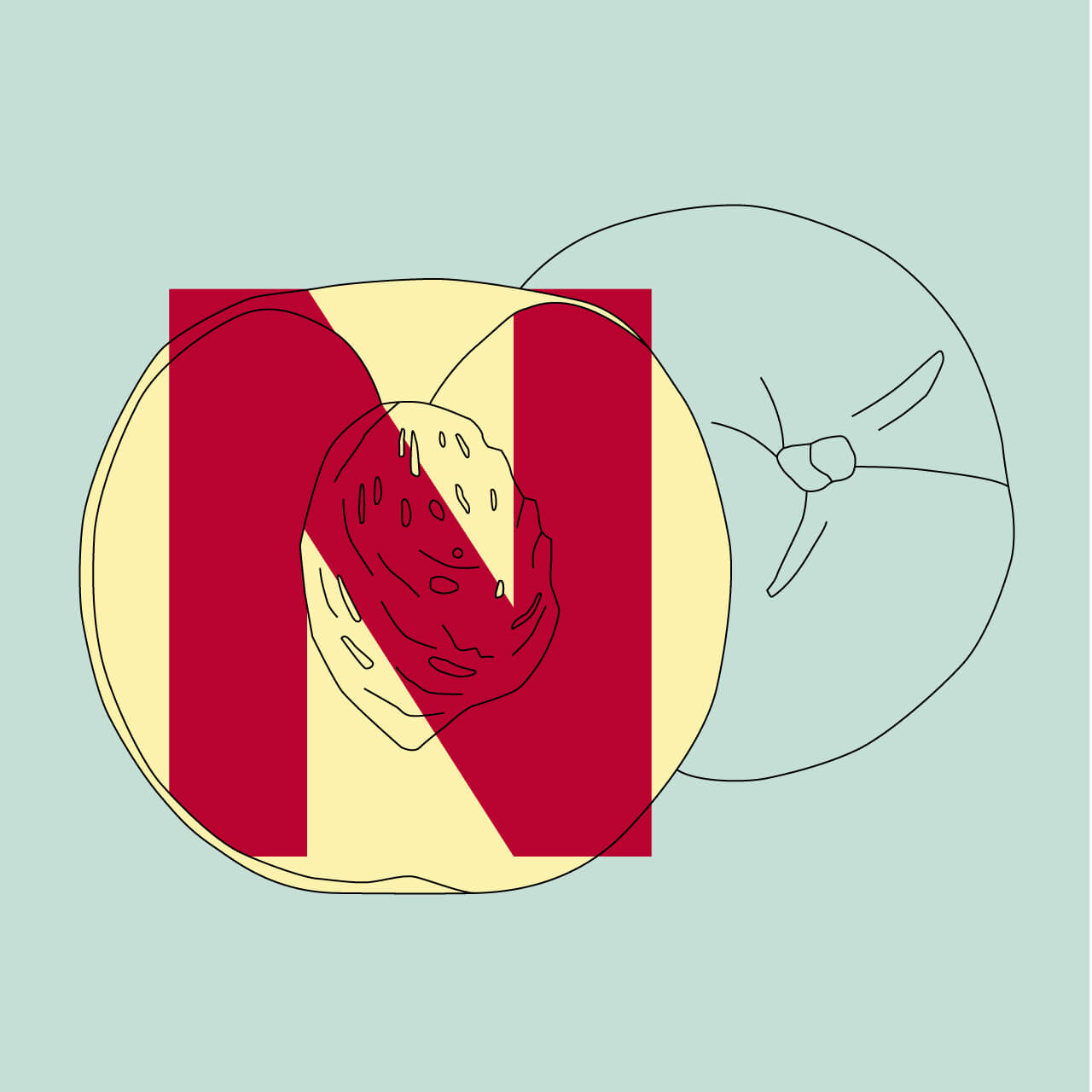 N_1